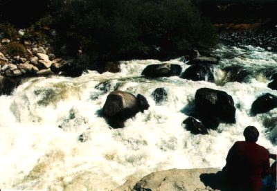 Toilet Bowl - overall view