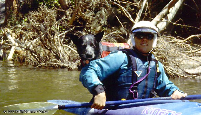 A Paddler and His Dog