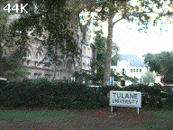 Tulane (44K)