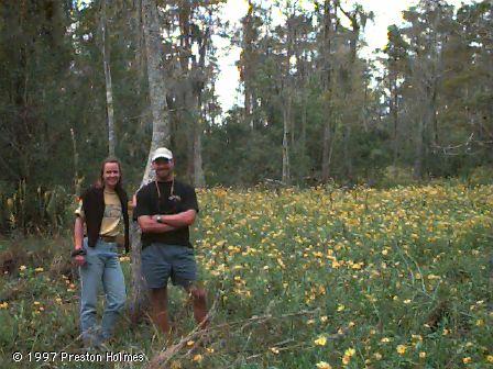 Swamp Flowers